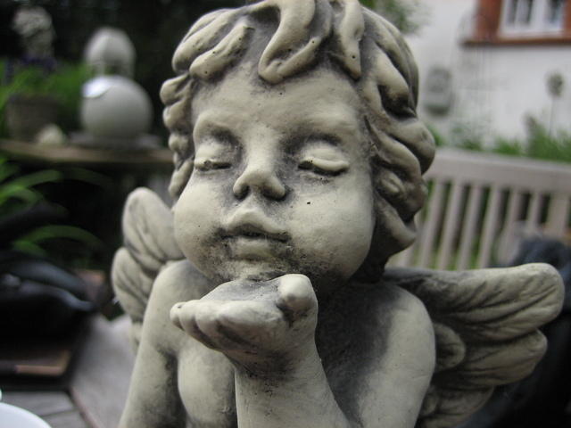 Bild 021